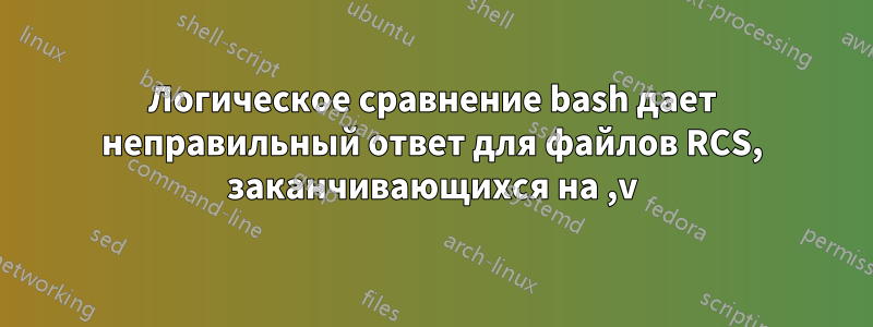 Логическое сравнение bash дает неправильный ответ для файлов RCS, заканчивающихся на ,v