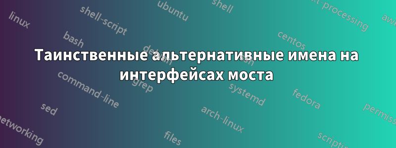 Таинственные альтернативные имена на интерфейсах моста