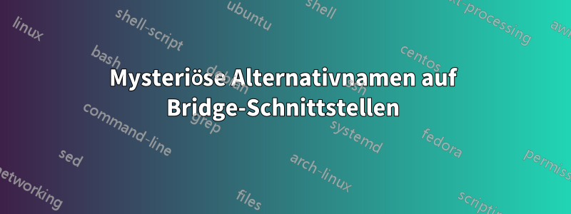 Mysteriöse Alternativnamen auf Bridge-Schnittstellen