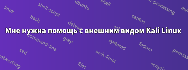 Мне нужна помощь с внешним видом Kali Linux