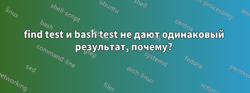 find test и bash test не дают одинаковый результат, почему?