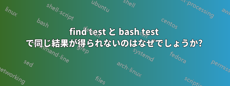 find test と bash test で同じ結果が得られないのはなぜでしょうか?