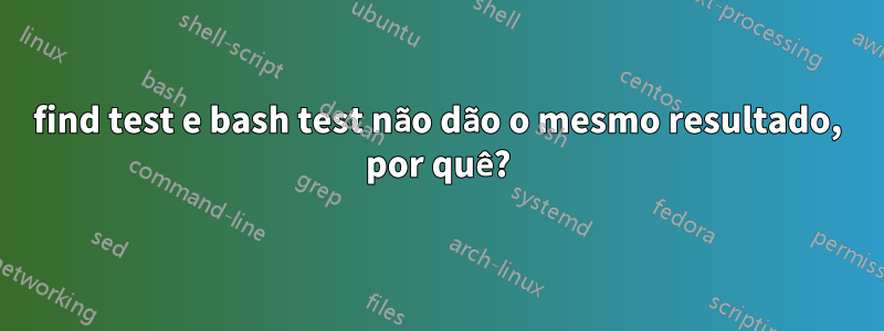 find test e bash test não dão o mesmo resultado, por quê?