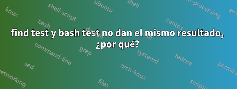 find test y bash test no dan el mismo resultado, ¿por qué?