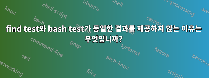 find test와 bash test가 동일한 결과를 제공하지 않는 이유는 무엇입니까?