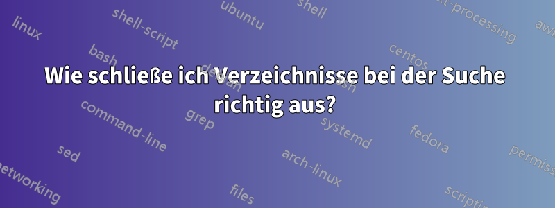 Wie schließe ich Verzeichnisse bei der Suche richtig aus?