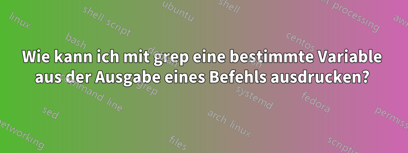 Wie kann ich mit grep eine bestimmte Variable aus der Ausgabe eines Befehls ausdrucken?