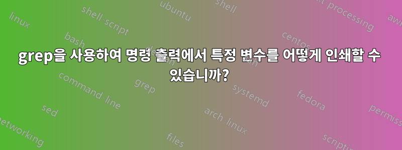 grep을 사용하여 명령 출력에서 ​​특정 변수를 어떻게 인쇄할 수 있습니까?