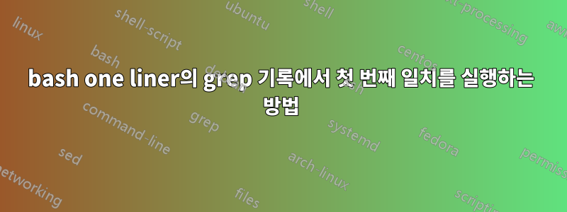 bash one liner의 grep 기록에서 첫 번째 일치를 실행하는 방법