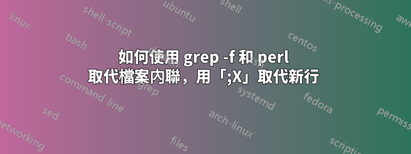 如何使用 grep -f 和 perl 取代檔案內聯，用「;X」取代新行