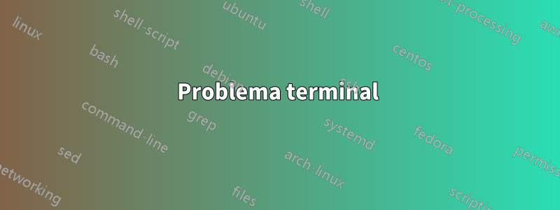 Problema terminal