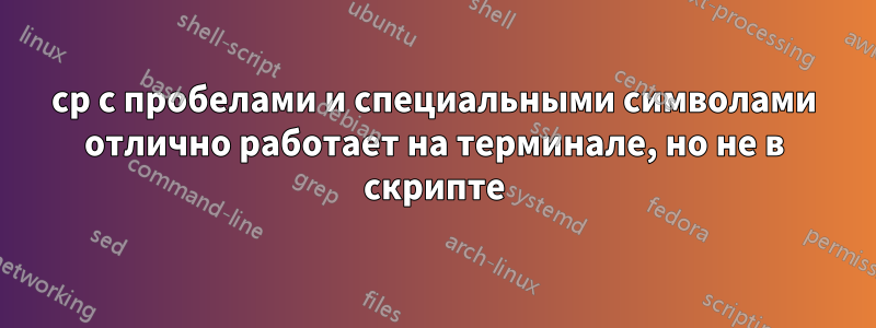 cp с пробелами и специальными символами отлично работает на терминале, но не в скрипте