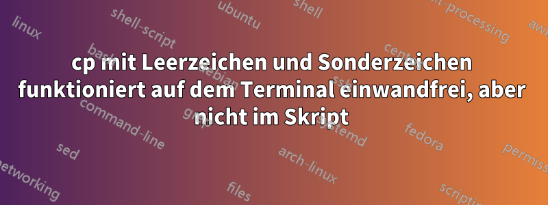 cp mit Leerzeichen und Sonderzeichen funktioniert auf dem Terminal einwandfrei, aber nicht im Skript