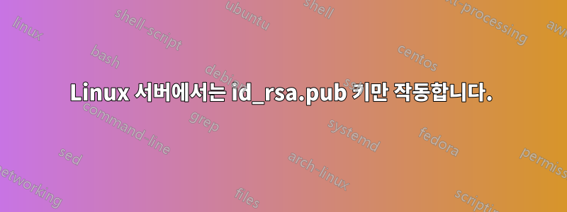 Linux 서버에서는 id_rsa.pub 키만 작동합니다.