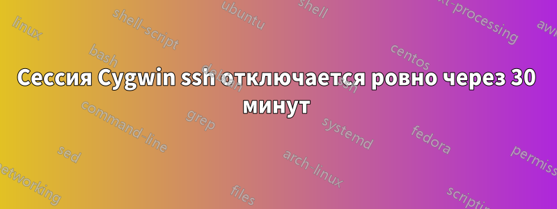 Сессия Cygwin ssh отключается ровно через 30 минут