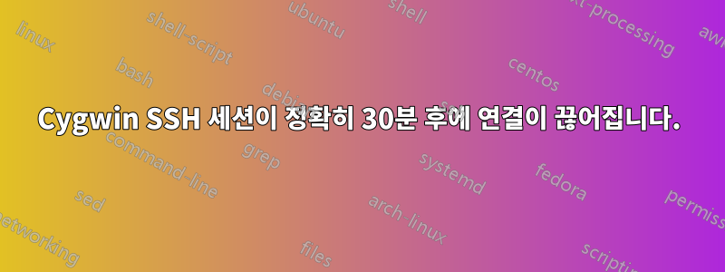 Cygwin SSH 세션이 정확히 30분 후에 연결이 끊어집니다.