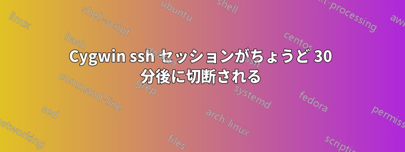 Cygwin ssh セッションがちょうど 30 分後に切断される