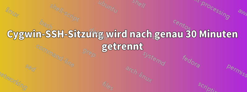 Cygwin-SSH-Sitzung wird nach genau 30 Minuten getrennt