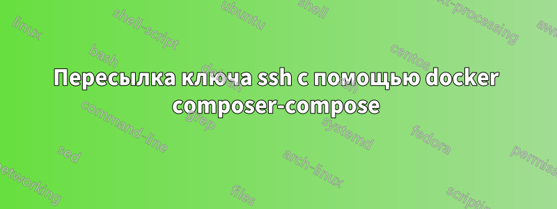 Пересылка ключа ssh с помощью docker composer-compose
