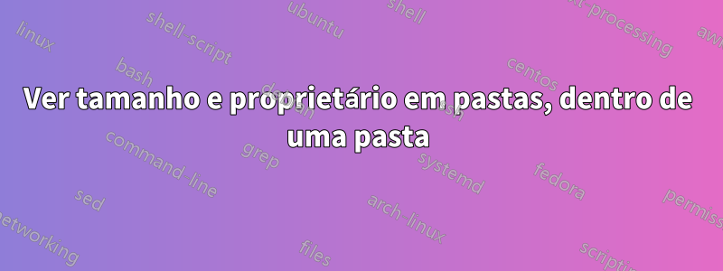 Ver tamanho e proprietário em pastas, dentro de uma pasta