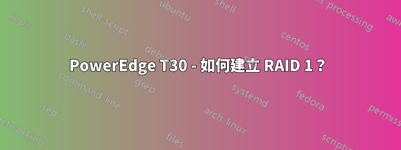 PowerEdge T30 - 如何建立 RAID 1？