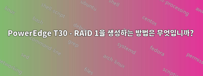 PowerEdge T30 - RAID 1을 생성하는 방법은 무엇입니까?