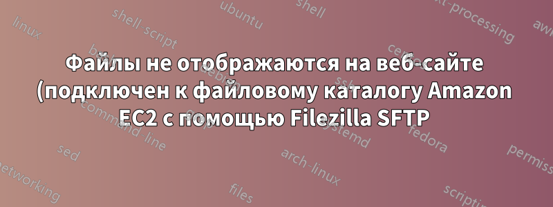 Файлы не отображаются на веб-сайте (подключен к файловому каталогу Amazon EC2 с помощью Filezilla SFTP)