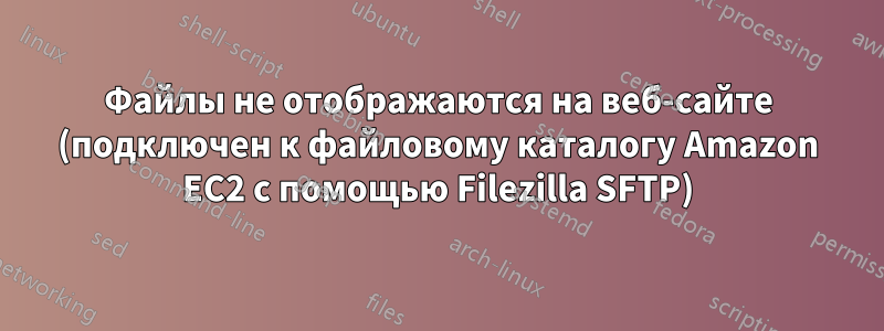 Файлы не отображаются на веб-сайте (подключен к файловому каталогу Amazon EC2 с помощью Filezilla SFTP)