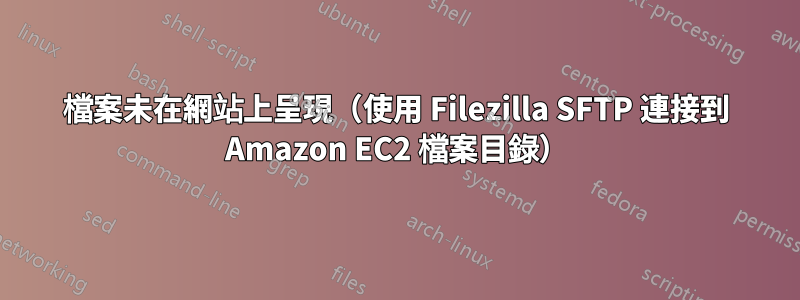 檔案未在網站上呈現（使用 Filezilla SFTP 連接到 Amazon EC2 檔案目錄）