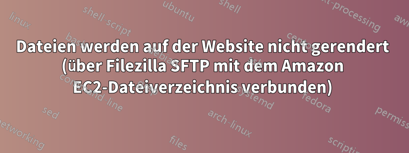 Dateien werden auf der Website nicht gerendert (über Filezilla SFTP mit dem Amazon EC2-Dateiverzeichnis verbunden)