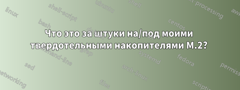 Что это за штуки на/под моими твердотельными накопителями M.2?