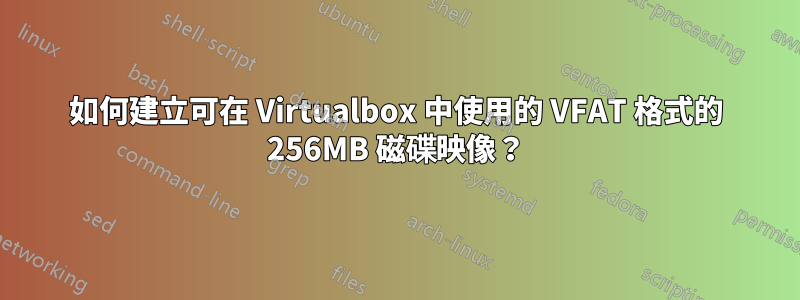 如何建立可在 Virtualbox 中使用的 VFAT 格式的 256MB 磁碟映像？