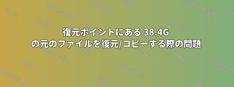 復元ポイントにある 38.4G の元のファイルを復元/コピーする際の問題