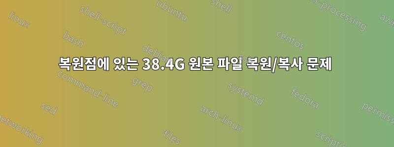 복원점에 있는 38.4G 원본 파일 복원/복사 문제