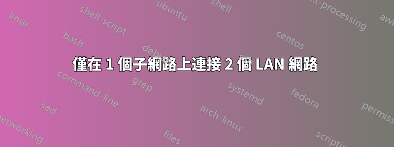 僅在 1 個子網路上連接 2 個 LAN 網路