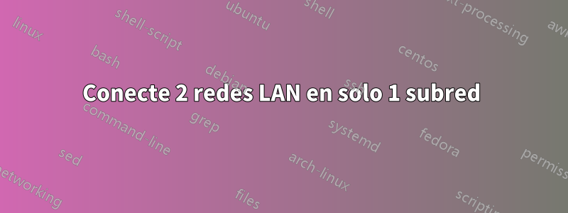 Conecte 2 redes LAN en solo 1 subred