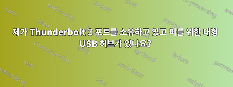 제가 Thunderbolt 3 포트를 소유하고 있고 이를 위한 대형 USB 허브가 있나요?