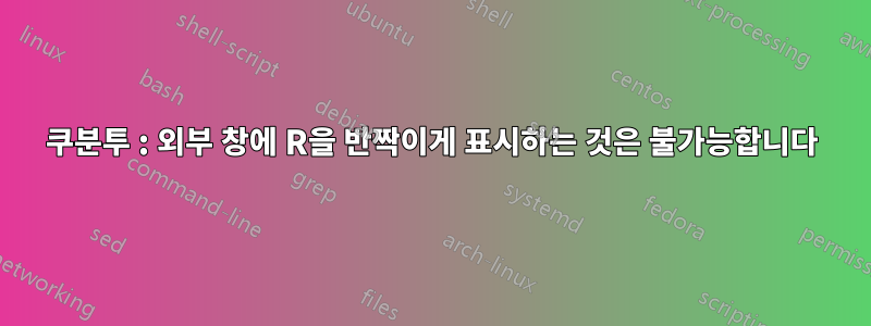 쿠분투 : 외부 창에 R을 반짝이게 표시하는 것은 불가능합니다