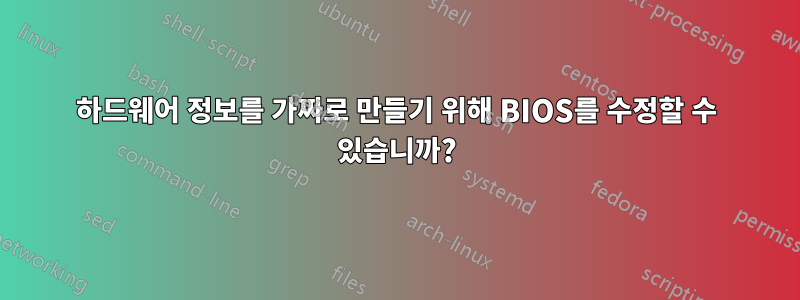 하드웨어 정보를 가짜로 만들기 위해 BIOS를 수정할 수 있습니까?