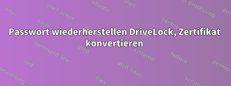 Passwort wiederherstellen DriveLock, Zertifikat konvertieren