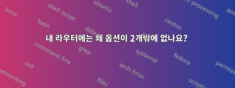 내 라우터에는 왜 옵션이 2개밖에 없나요?