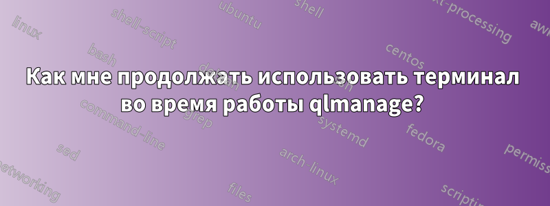 Как мне продолжать использовать терминал во время работы qlmanage?