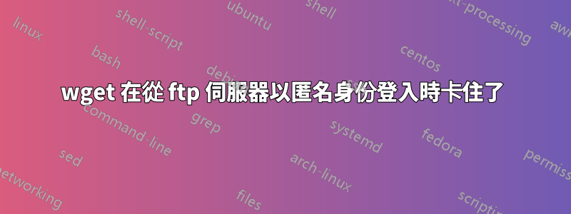 wget 在從 ftp 伺服器以匿名身份登入時卡住了