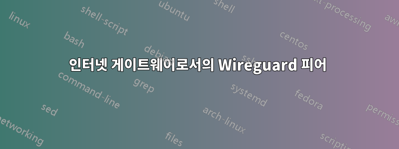 인터넷 게이트웨이로서의 Wireguard 피어