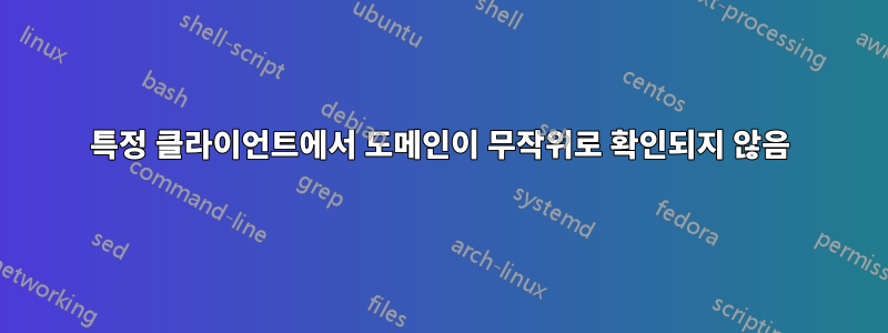 특정 클라이언트에서 도메인이 무작위로 확인되지 않음