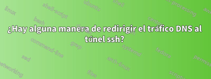 ¿Hay alguna manera de redirigir el tráfico DNS al túnel ssh?