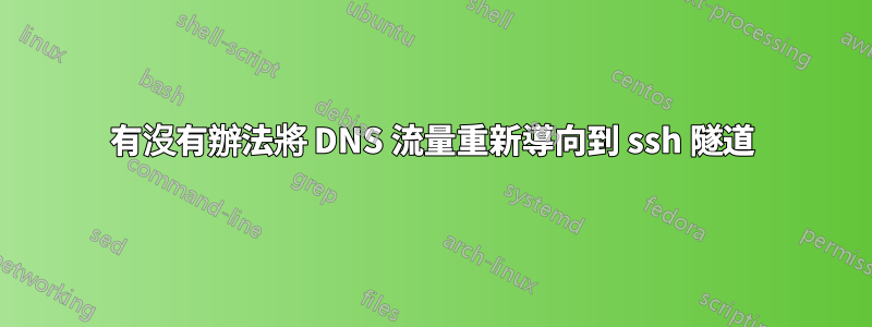 有沒有辦法將 DNS 流量重新導向到 ssh 隧道