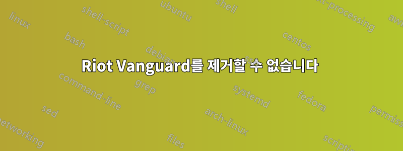 Riot Vanguard를 제거할 수 없습니다