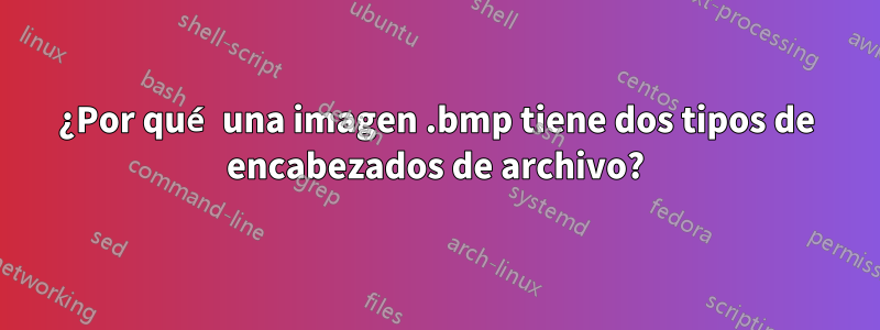 ¿Por qué una imagen .bmp tiene dos tipos de encabezados de archivo?