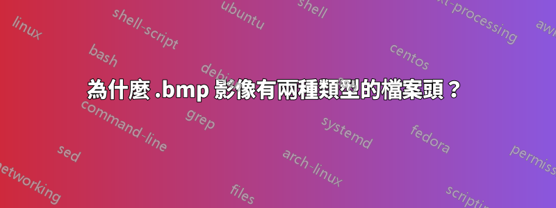 為什麼 .bmp 影像有兩種類型的檔案頭？